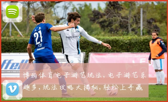博狗体育电子游艺玩法,电子游艺乐趣多,玩法攻略大揭秘,轻松上手赢大奖